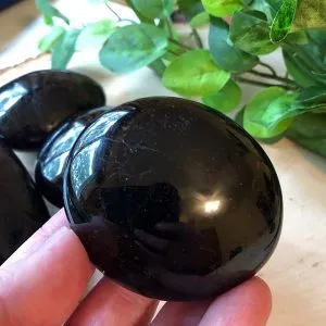 blacktourmalinepalm3