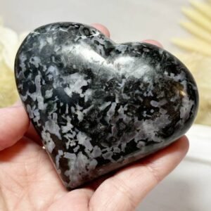 Indigo Gabbro heart