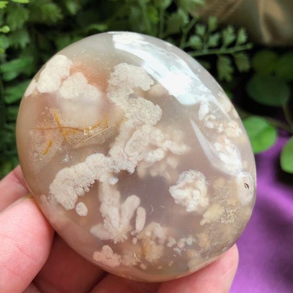 Flower Agate Palm Stone