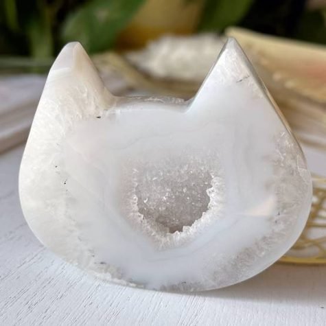 White Agate with Quartz Druzy carved cat head