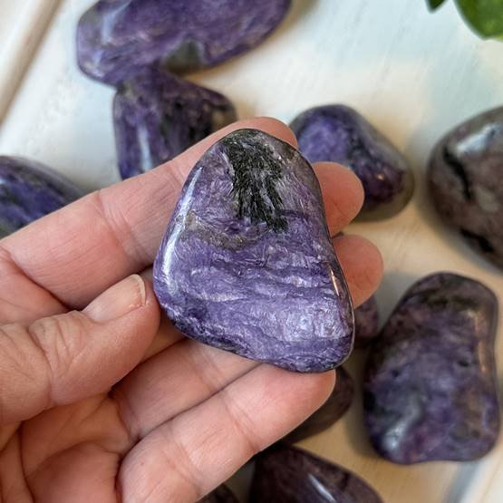 Charoite Palm Stone