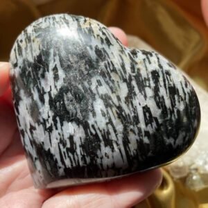 Zebra Stripe Indigo Gabbro