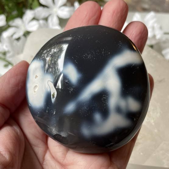 Orca Agate Freeform