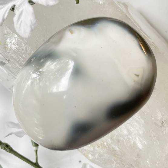 Orca Agate Palm Stone