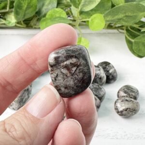 inner wisdom with Astrophyllite from Russia. Enhance intuition, transform spiritually, and embrace your true path with this captivating stone.
