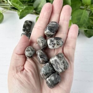 inner wisdom with Astrophyllite from Russia. Enhance intuition, transform spiritually, and embrace your true path with this captivating stone.