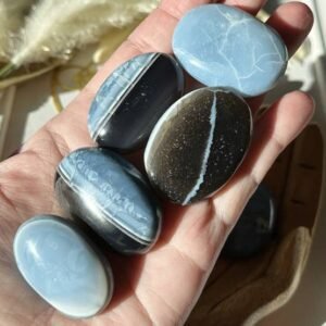 Blue Owyhee Opal palm stones from Oregon, perfect for enhancing communication, emotional balance, and creativity