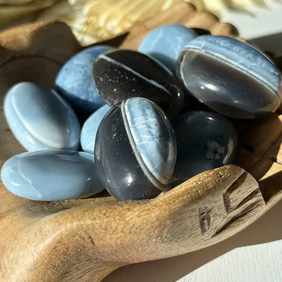 Blue Owyhee Opal Palm Stone