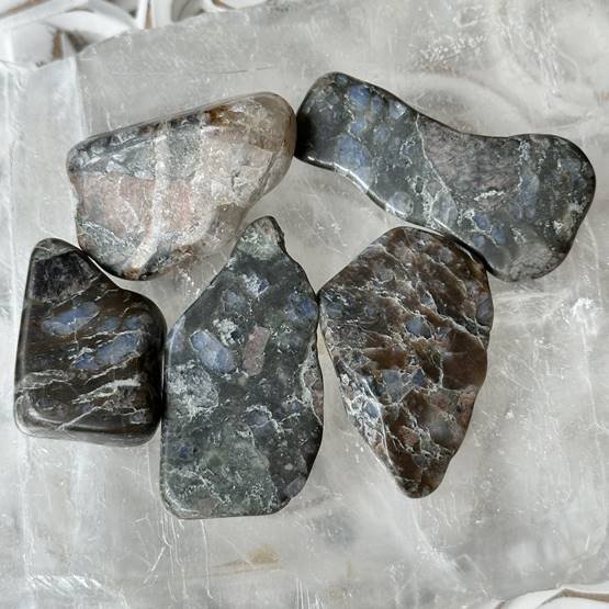 Llanite (Que Sera Stone) Mini Palm Stone