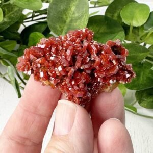 Ignite creativity and passion with vibrant Vanadinite from Morocco. Boost focus, energy, and motivation with this dynamic crystal. Perfect for artists and creators.