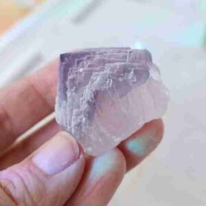 El Filo Fluorite Mapimi Mexico