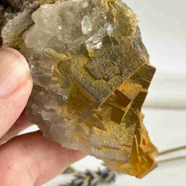Rainbow Iridescent Fluorite