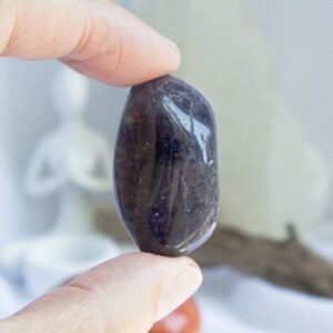 The Creative Spark Set. Crystal set for creativity, joy, and expression—featuring Blood Orange Calcite, Iolite, and Flower Agate